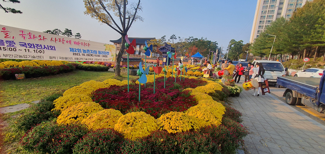 부안 국화축제