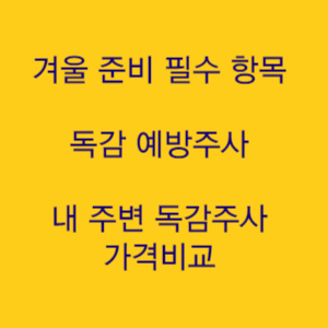 겨울 준비 필수 항목 독감 예방주사 가격비교 및 취급 병원 찾기