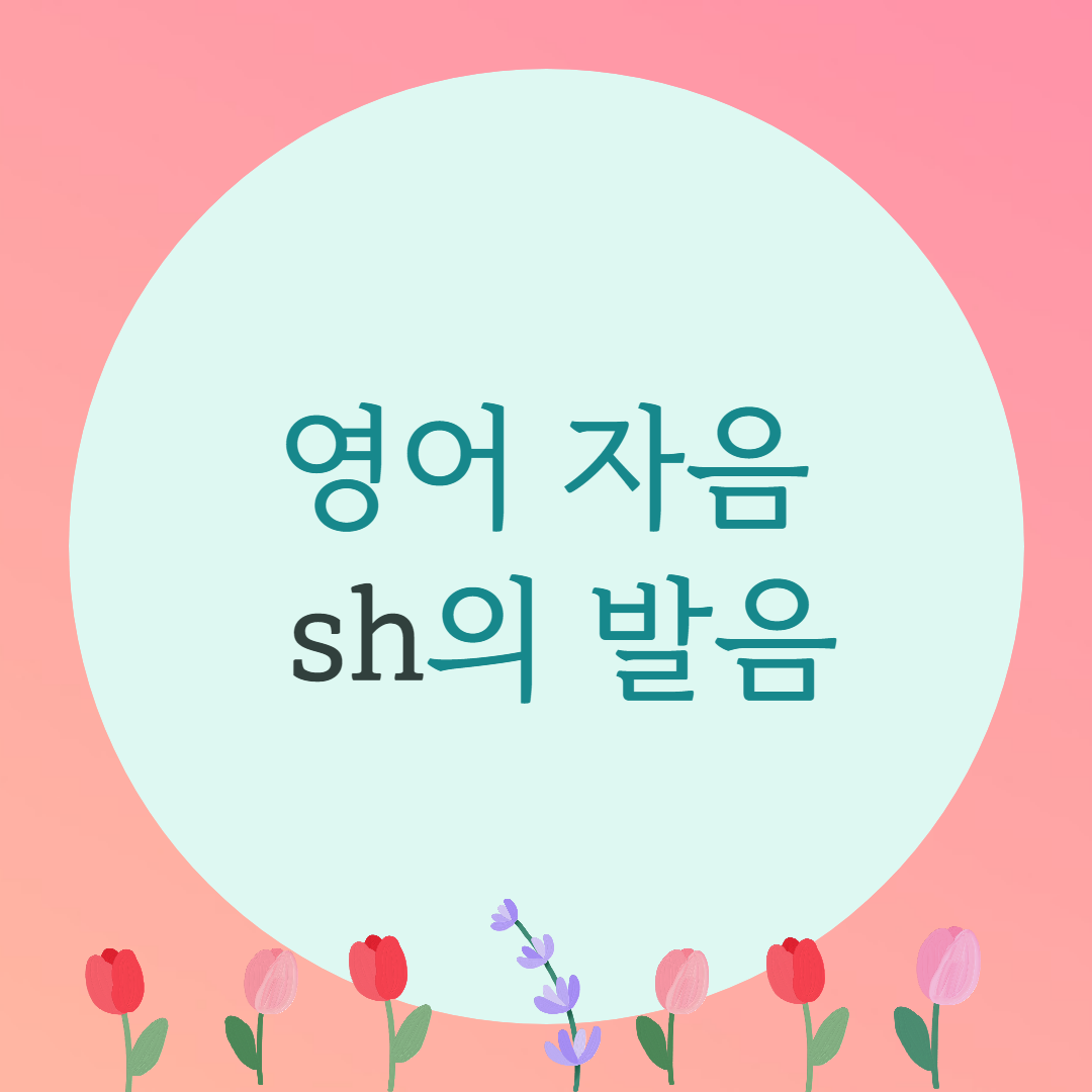  [블로그] 영어자음 [ sh ]의 발음을 알아보자