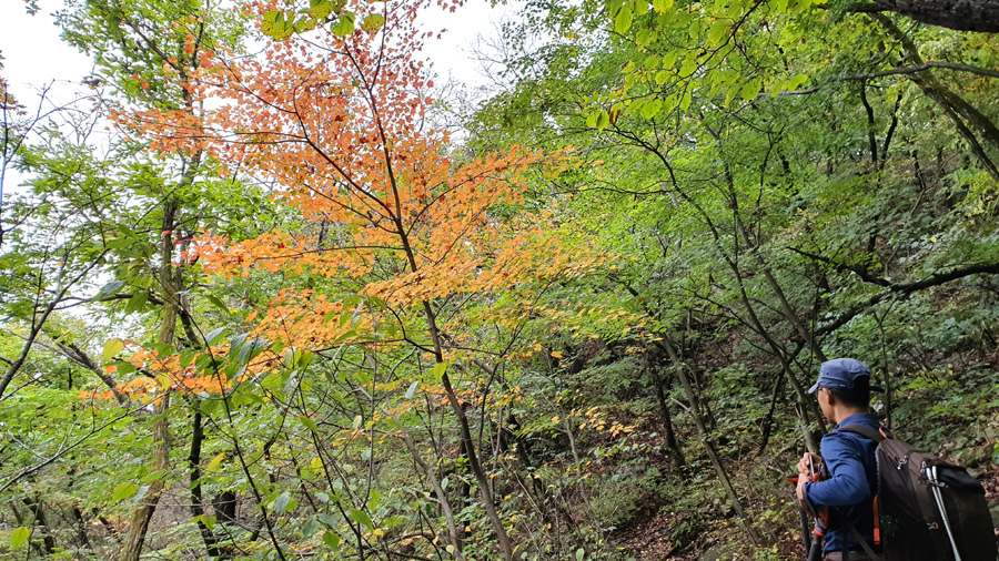 /초가을 풍경 도봉산 18