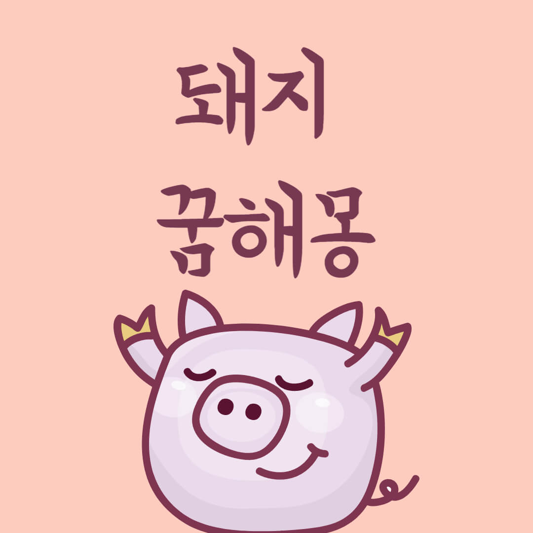 돼지 꿈해몽 시작 사진