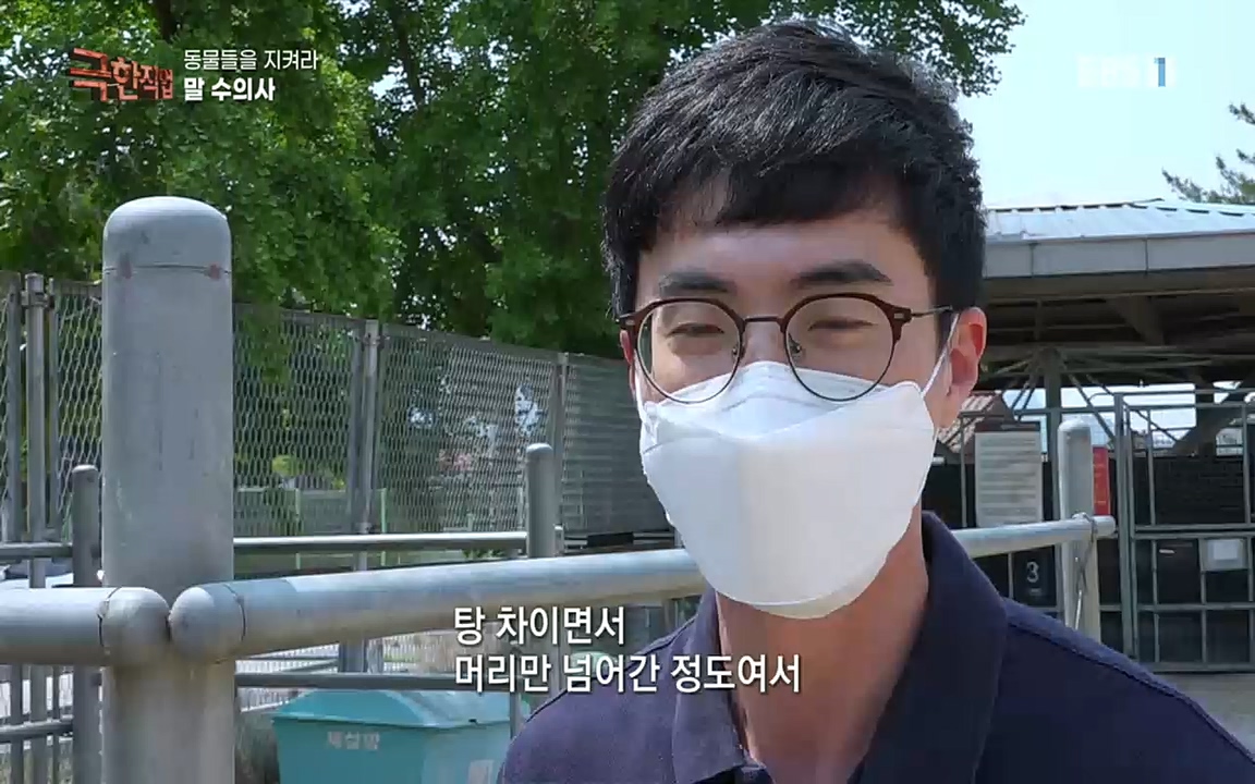 TV - 교육의 중심 EBS동물들을 지켜라, 수의사와 유기 동물 구조팀.mp4_20220913_200144.951.jpg