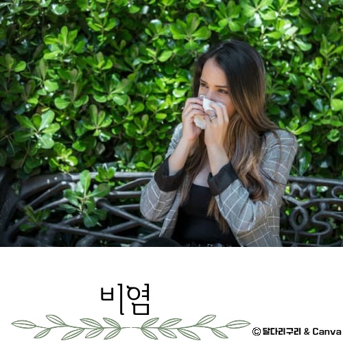 가정용 비염 치료기 추천 치료방법 