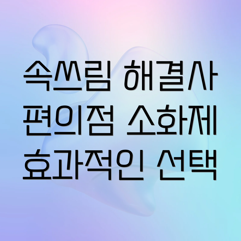 편의점 소화제