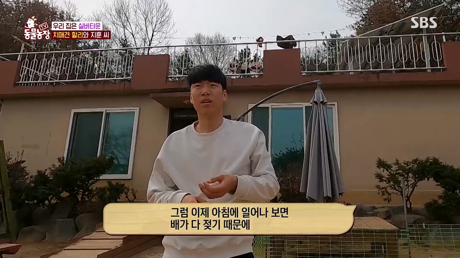 TV 동물농장.E1115.230409p.H264-F1RST.mp4_20230409_173051.609.jpg