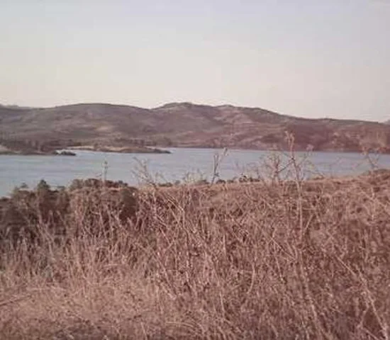 참엔지니어링