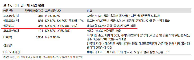  2차전지 관련 주식 - LFP배터리 vs NCM배터리