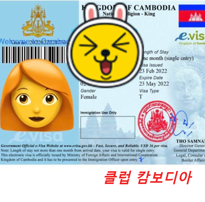  캄보디아 관광비자(도착비자) 종류