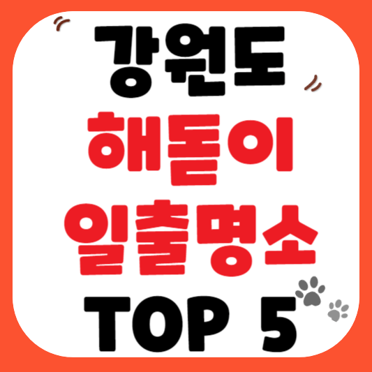 강원도 해돋이 일출명소 TOP 5