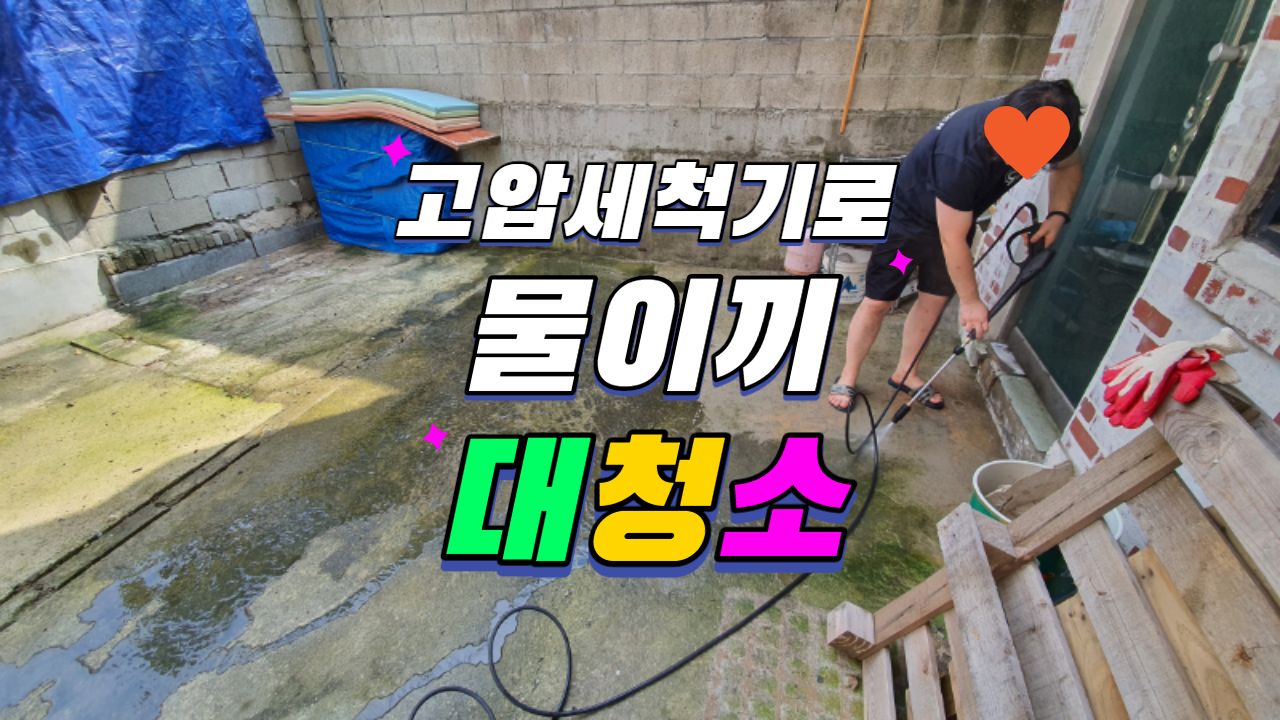 [사용기] 스마토 고압세척기로 찌든 물이끼 대청소 feat. 솔로 안벗겨지는 이끼