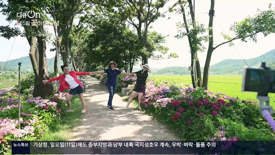 다큐 On.E201.230610p.H264-F1RST.mp4_20230611_165949.912.jpg