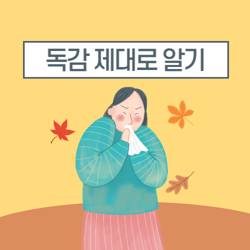  독감 제대로 이해하자! 독감 증상 전염 좋은음식 영야제