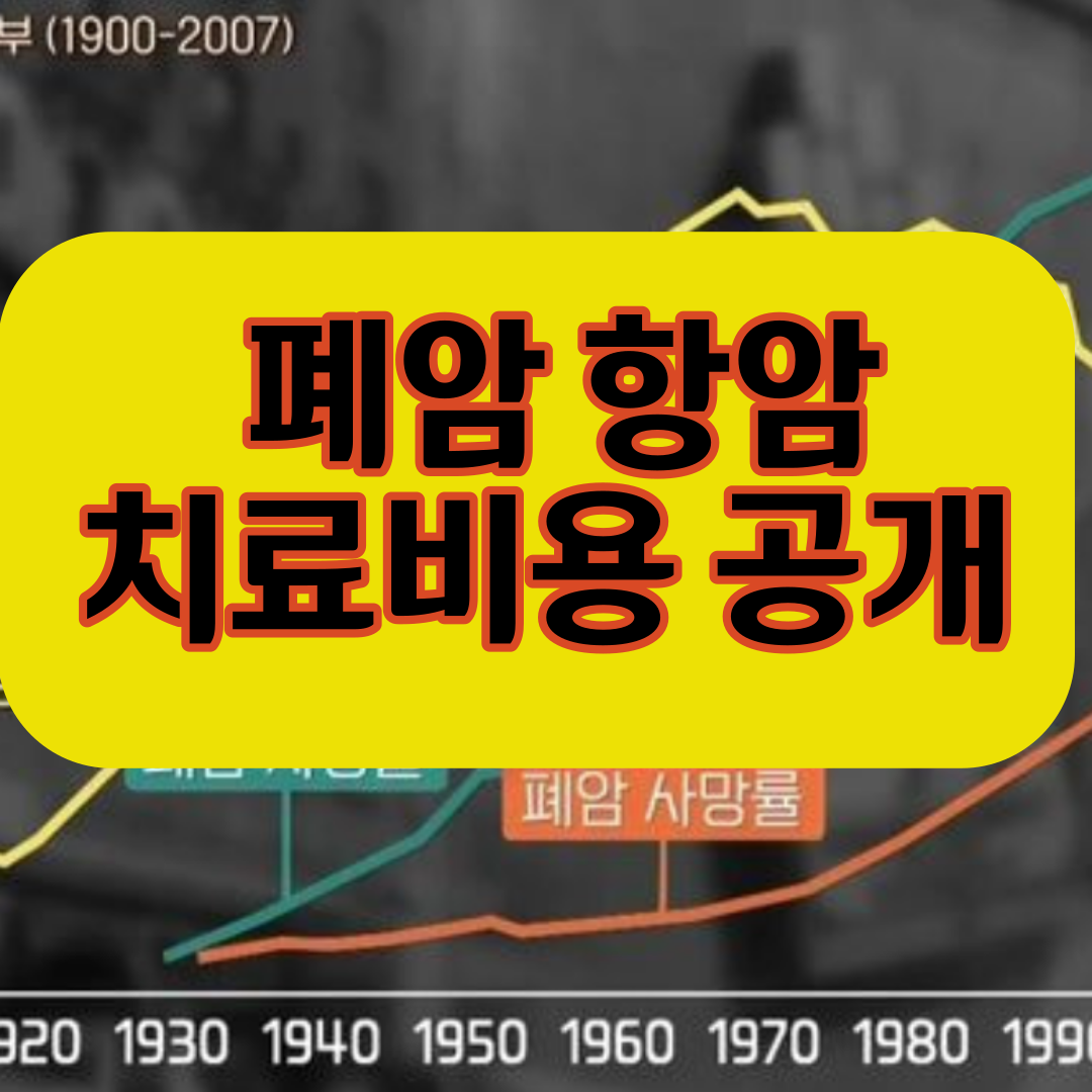  폐암 항암 치료비용 공개 얼마인지 알려드리겠습니다