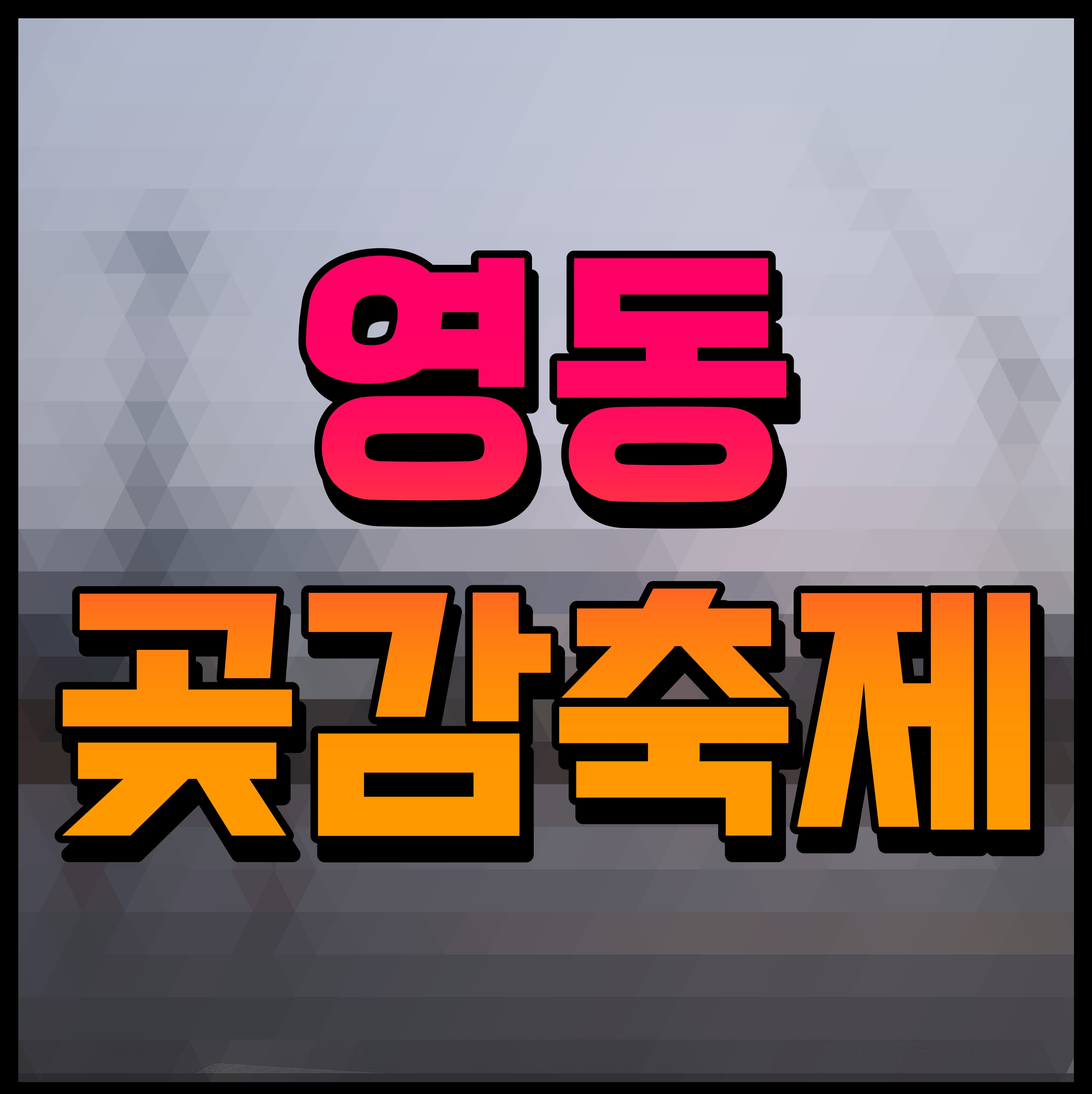  영동 곶감축제 이찬원 김다현 설하윤 축하공연 불꽃놀이 행사까지
