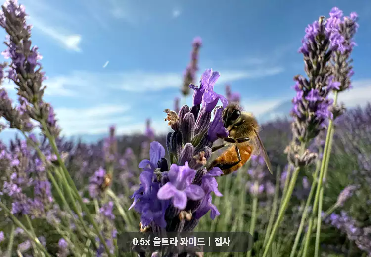 아이폰-15-프로-카메라-총정리-아이폰-15-프로-맥스-설명-이미지