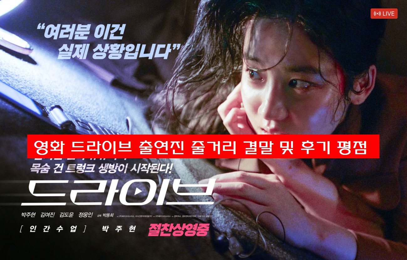  영화 드라이브 출연진 등장인물 줄거리 결말 및 후기 평점
