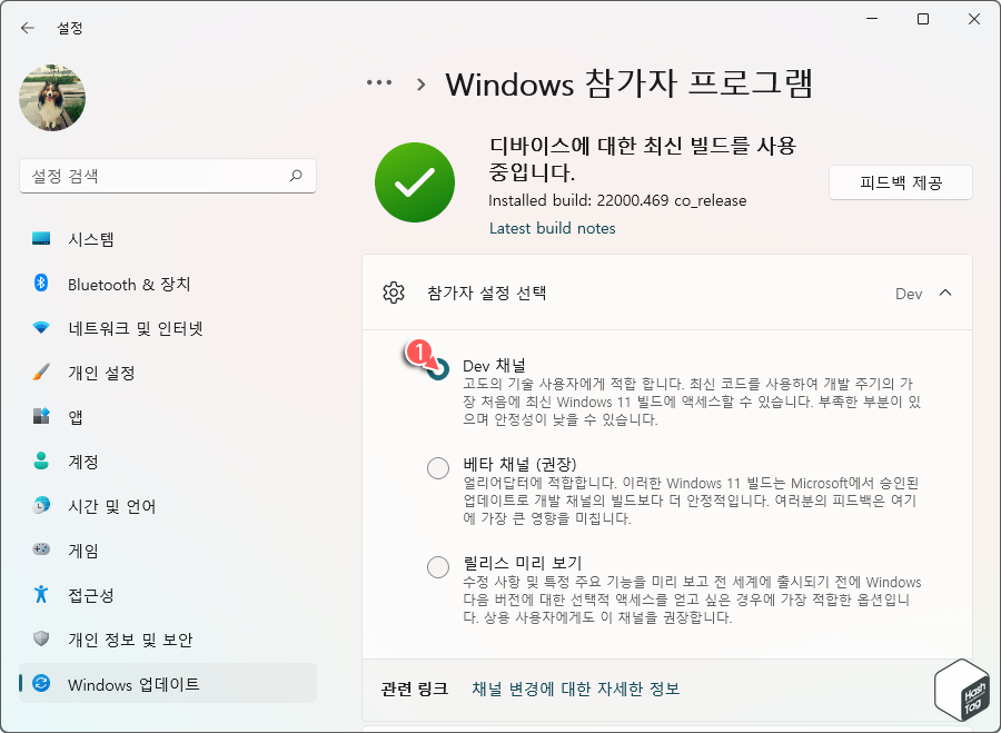 Windows 11 참가자 설정 선택