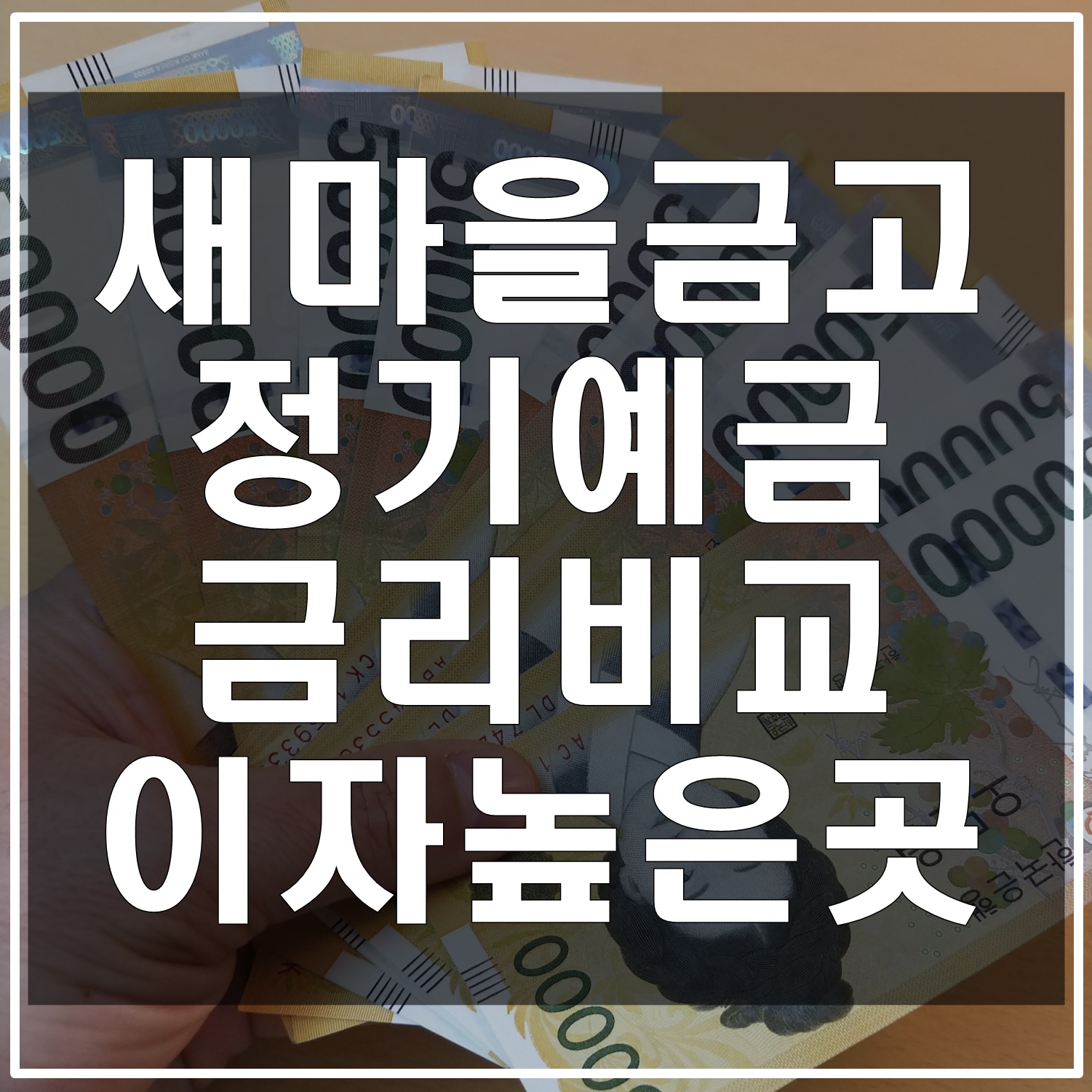 새마을금고-정기예금-금리비교