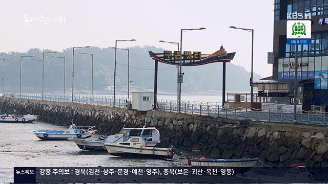 동네 한 바퀴.E224.230611p.H264-F1RST.mp4_20230613_204655.059.jpg