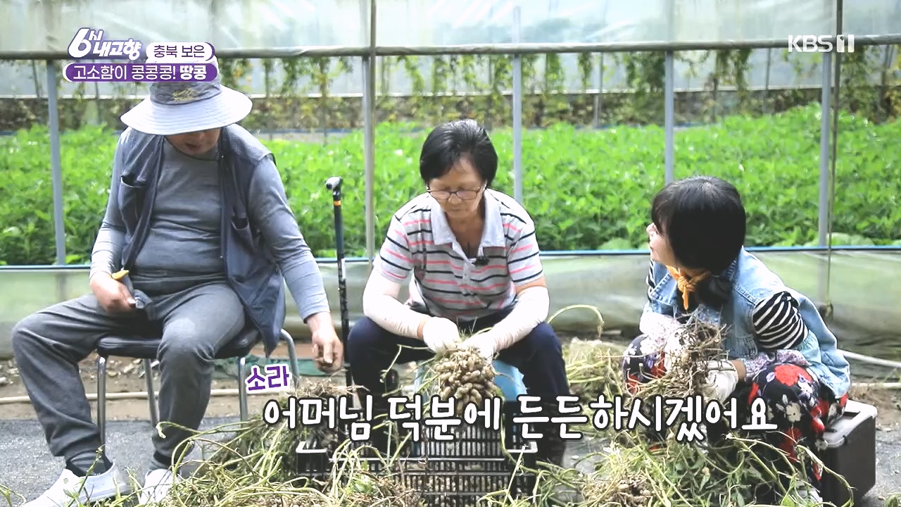6시 내고향.E7892.231018p.H264-F1RST.mp4_20231018_194659.627.jpg