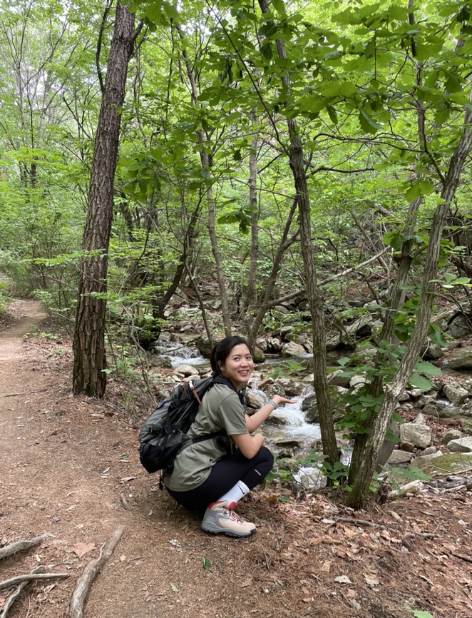 여름산으로 추천하는 괴산 칠보산(778m) 숲속을 거니는 듯 시원해 49