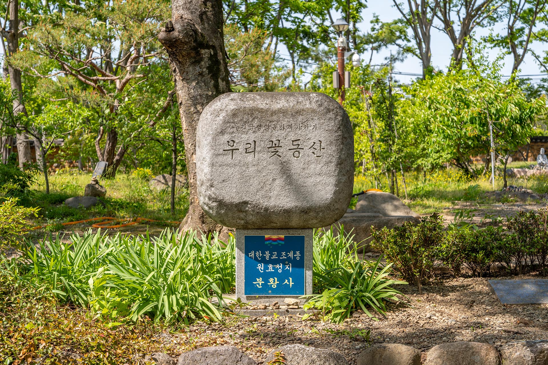 경북 경주 분황사 - 모전석탑 청보리 양귀비 - 분황사 모습 경주 분황사
