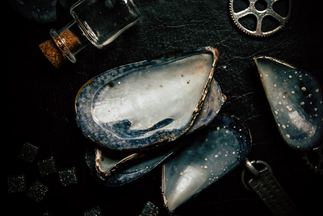 Mussels