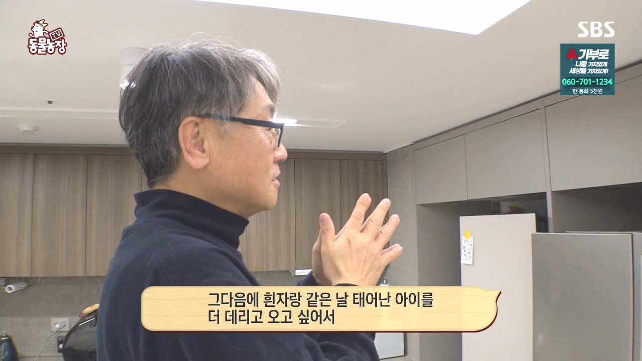 TV 동물농장.E1152.231232p-NEXT.mp4_20231231_172008.053.jpg