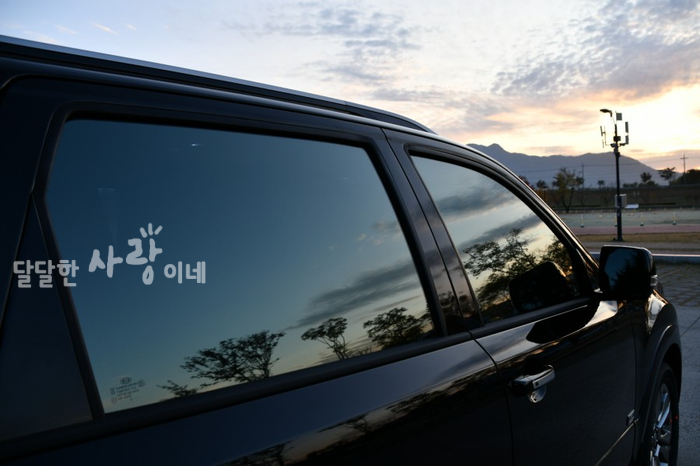 Majave the Master Platinum 7인승 실내가 압도적입니다. 2