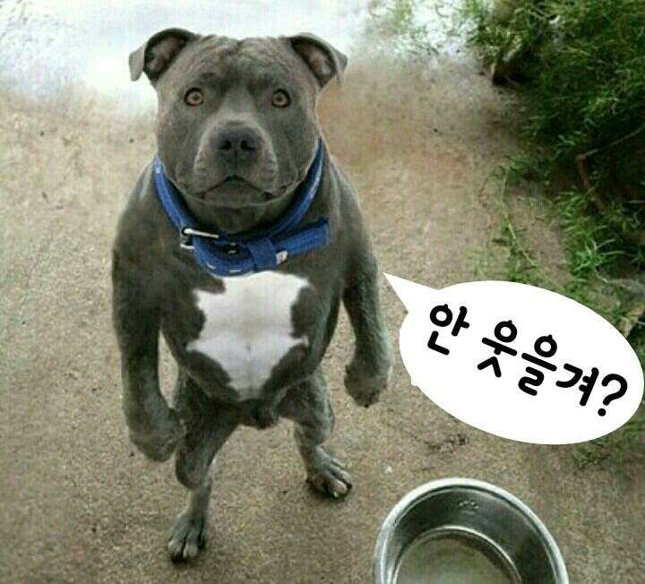   정력 끝내주시는 할아버지