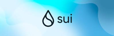  수이코인(Suicoin)의 세계: 블록체인 기반의 미래 투자 및 창업 기회를 탐색하다