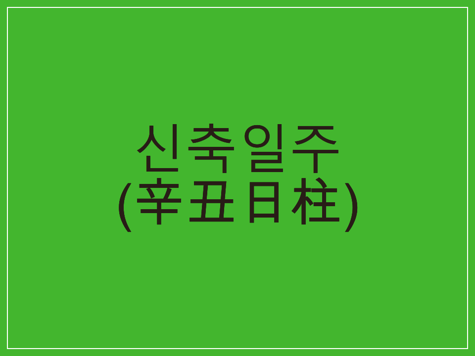  신축일주(辛丑日柱) 일주론 요약