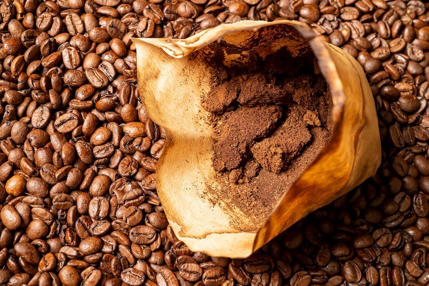 커피찌꺼기활용법 10가지