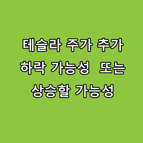  테슬라 주가 80% 추가 하락 가능성 또는 상승할 가능성