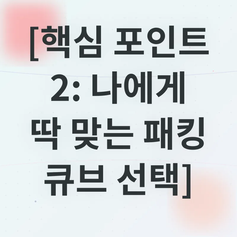 패킹 큐브_2