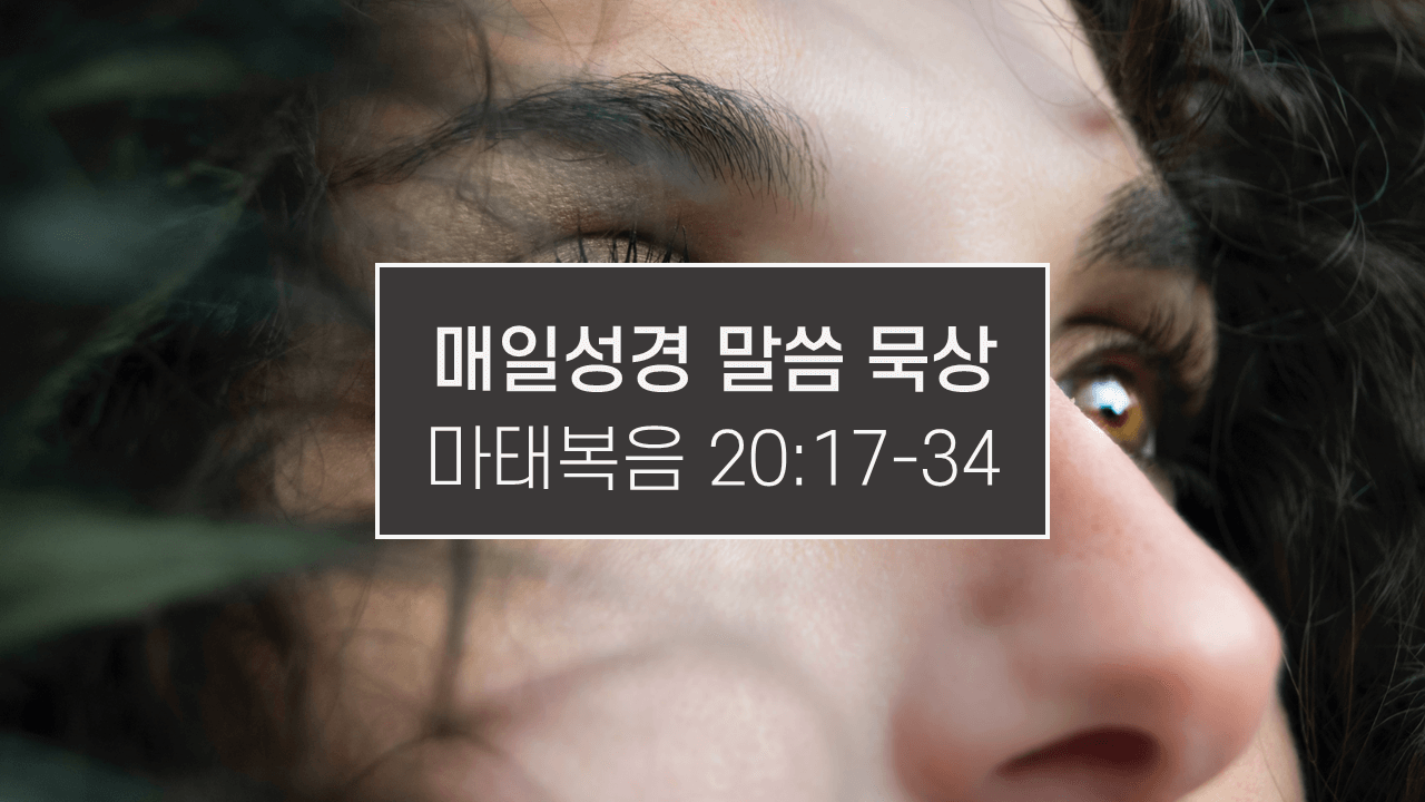 썸네일-하늘을-바라보는-얼굴