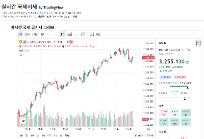2025년 실시간 국제 금시세 차트