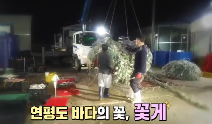  6시내고향 연평도 꽃게 택배 주문 민박집 수산물 파는곳