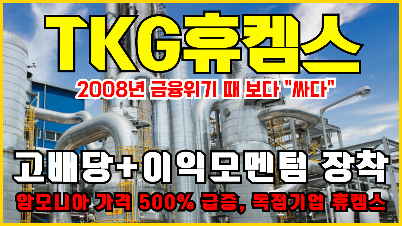  TKG휴켐스 주식전망 주가전망 ( 배당주 투자 )