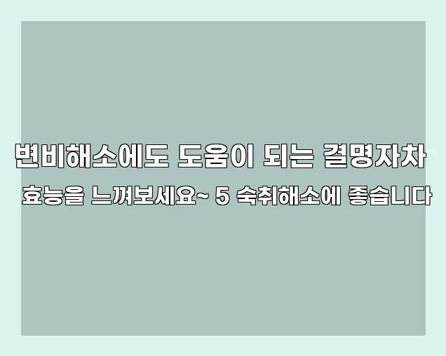 변비해소에도 도움이 되는 결명자차 효능을 느껴보세요~ 5 숙취해소에 좋습니다