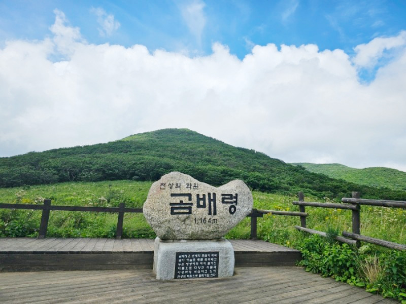 곰배령 이미지
