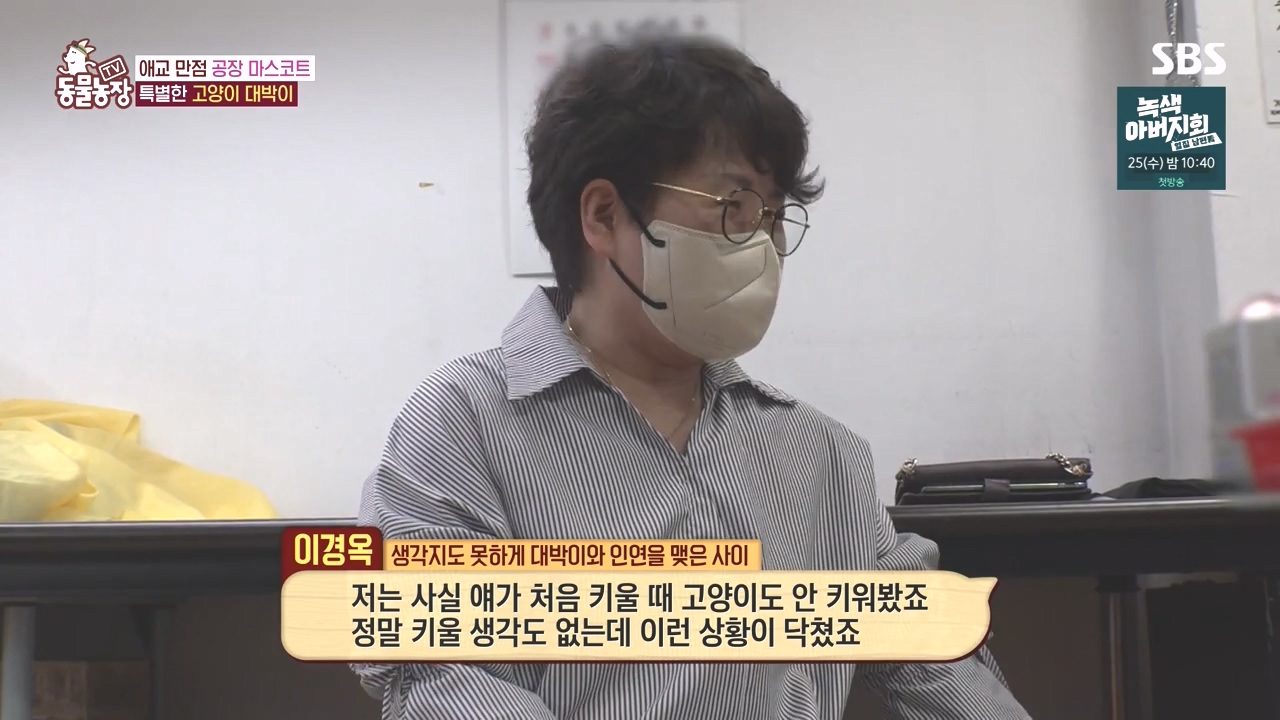TV 동물농장.E1141.231016p-NEXT.mp4_20231015_173947.863.jpg