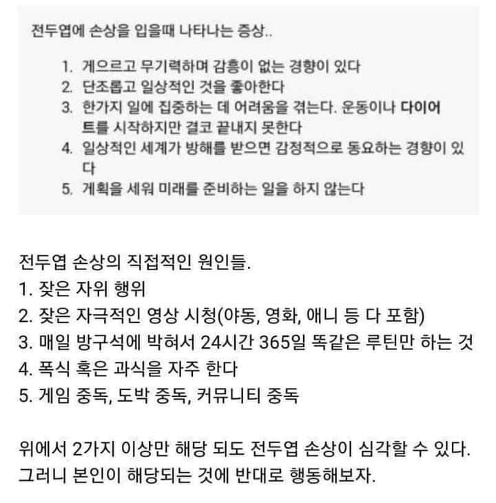  전두엽이 안 좋을때 나타나는 증상