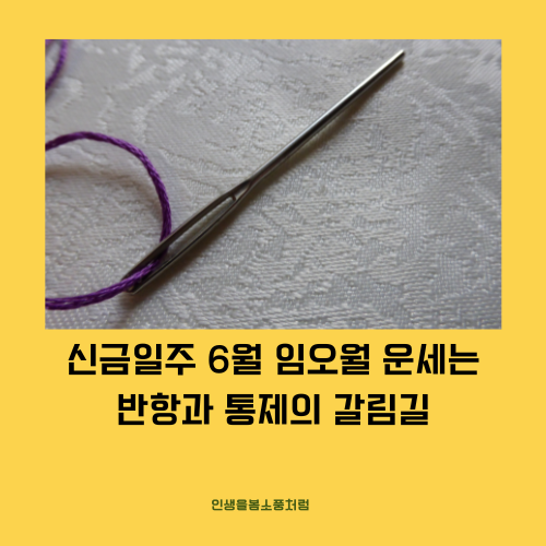 신금일주 6월 임오월 운세는 반항과 통제의 갈림길