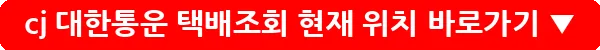 cj 대한통운 택배조회 현재 위치_13