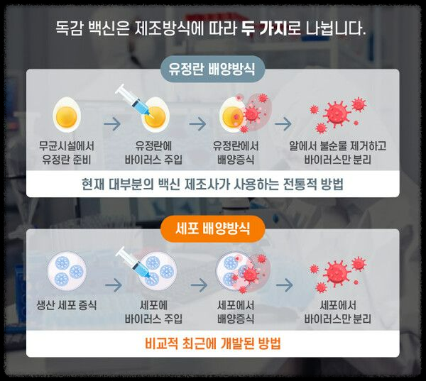 A독감 무료접종 신청 꿀팁: 놓치지 말아야 할 필수 정보