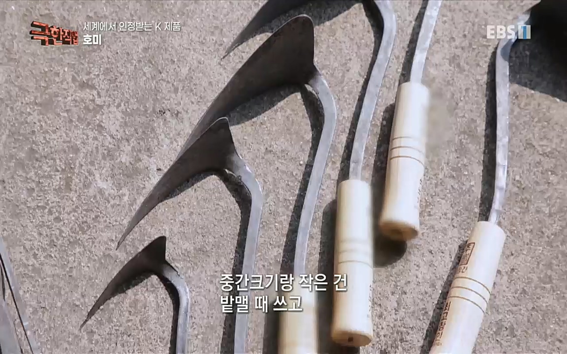 TV - 교육의 중심 EBS세계에서 인정받는 K 제품 유리 밀폐 용기와 호미.mp4_20220723_182034.573.jpg