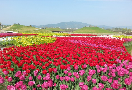 일회성 약속 추천 8