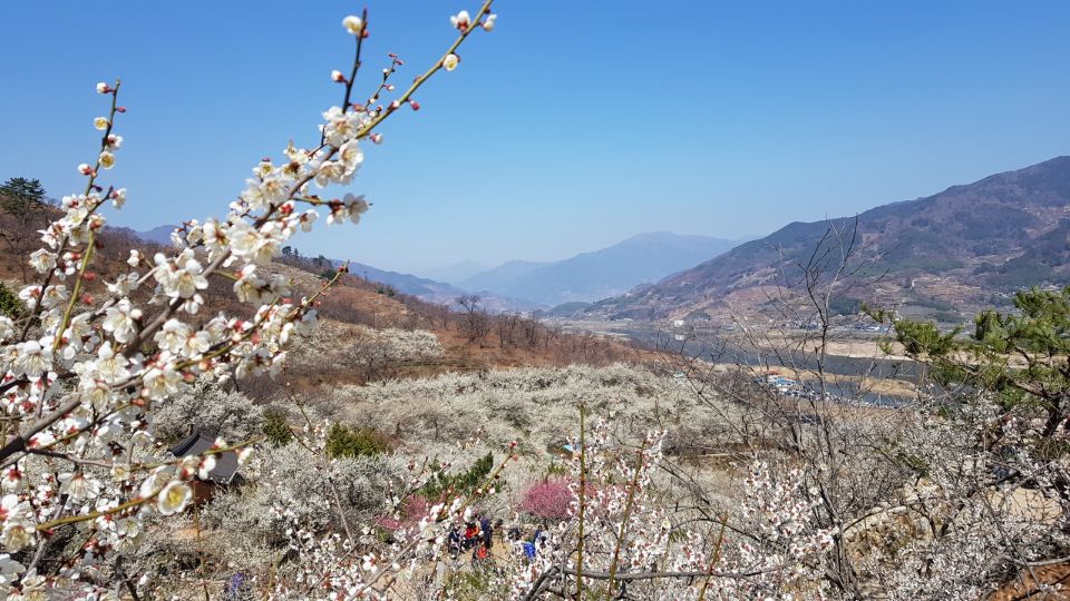 OK모바일 이미지