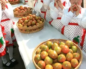 대저토마토축제_13